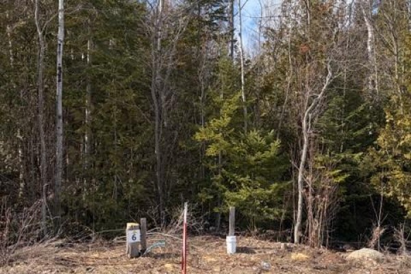 Lot marked '6' with a red stake and trees lining the perimeter. - 11 Lakeside Woods Crescent, Saugeen Shores