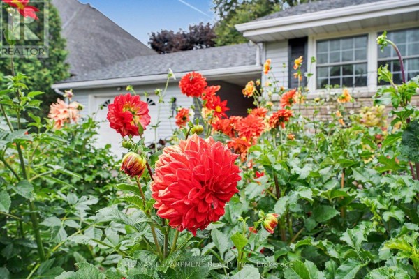 11 Miller Drive, Hamilton, ON, photo 3