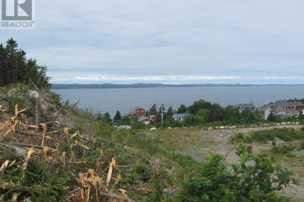 11 Mission Road, Conception Bay South, NL A1X6R8 Photo 2