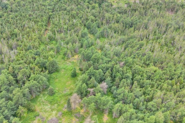 11 North Side Road Unit#lot A, Holyrood, NL A0A2R0 Photo 4