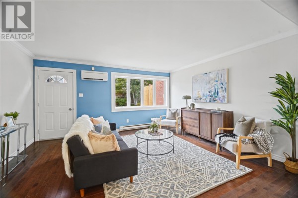 Living room with a blue accent wall, large rug, wooden floors, and modern furniture. - 11 Steer Street, St  John S