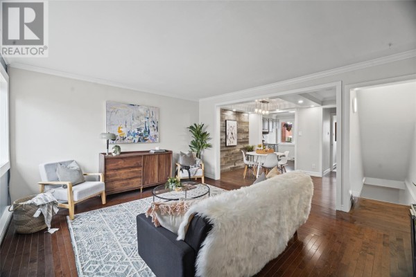 Living room showing open access to a dining area with a wood accent wall. - 11 Steer Street, St  John S