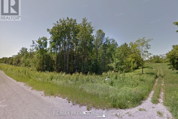 11 Timberland Drive, Trent Hills, ON, photo 3