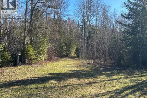 11.98 Acres Chemin Tremblay, Tremblay, NB E8J1A6 Photo 3