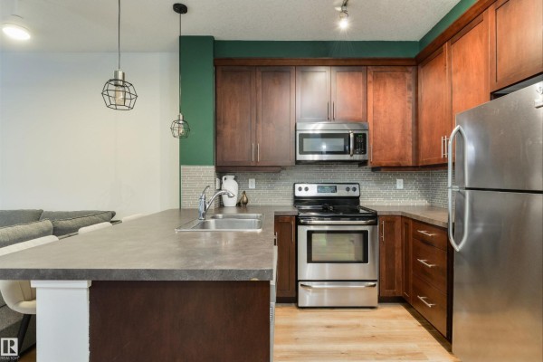 Laundry room - #110 2590 Anderson Wy Sw, Edmonton, AB T6W0R2 Photo 5