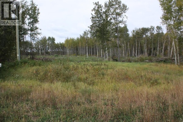 110 67324 Mission Road, Lac La Biche, AB, photo 3