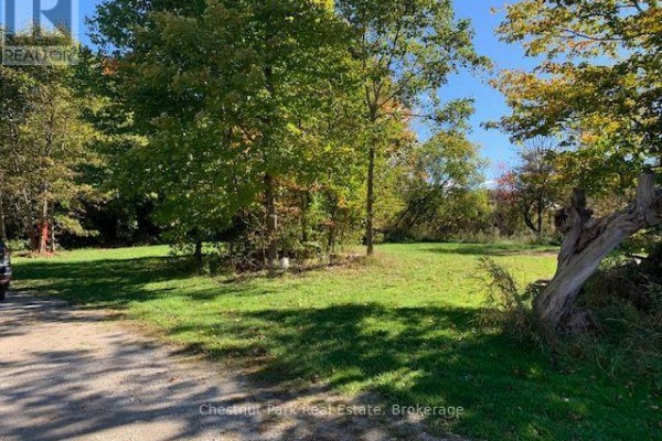 Overhead view of a cleared grassy lot with mature trees surrounding it. - 110 Church Street, Chatsworth