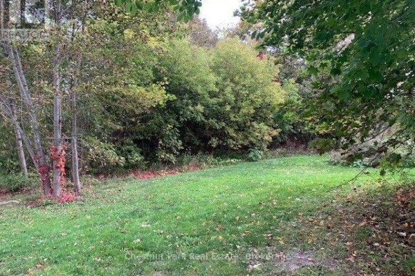 A wide grassy area with trees on the left and a dense green hedge in the background. - 110 Church Street, Chatsworth