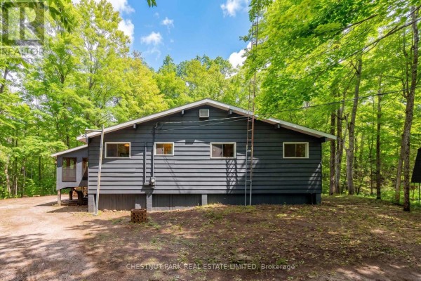 Rear view of the grey cottage with multiple windows, surrounded by lush green trees. - 110 Fire Route 367, Trent Lakes