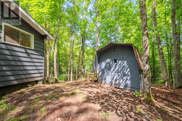 Small grey storage shed with a wooden deck and steps, set amongst tall trees. - 110 Fire Route 367, Trent Lakes
