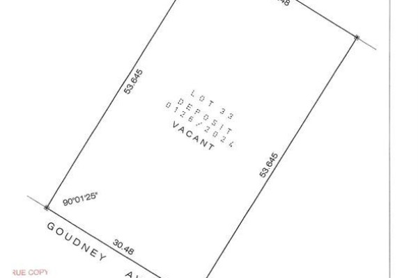 110 Goudney Avenue, Pilot Mound, MB R0G1P0 Photo 4