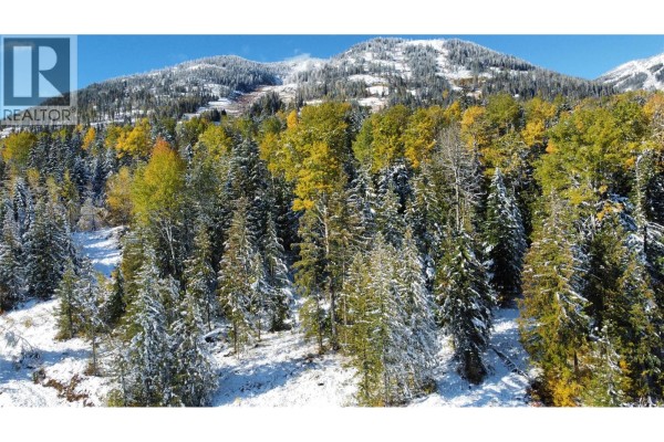 110 Topping Terrace, Rossland, BC, photo 3