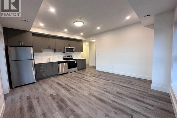 Open concept living area featuring a modern kitchen with grey cabinetry and stainless steel appliances. - 1101 Lackner Place Unit# 411, Kitchener