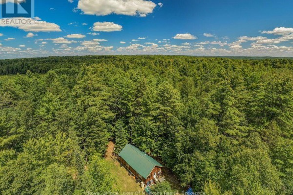 1101 Langford Road, Lake Of Bays, ON P0B1A0 Photo 4