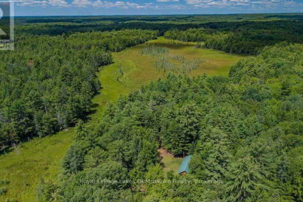 1101 Langford Road, Lake Of Bays, ON P0B1A0 Photo 5