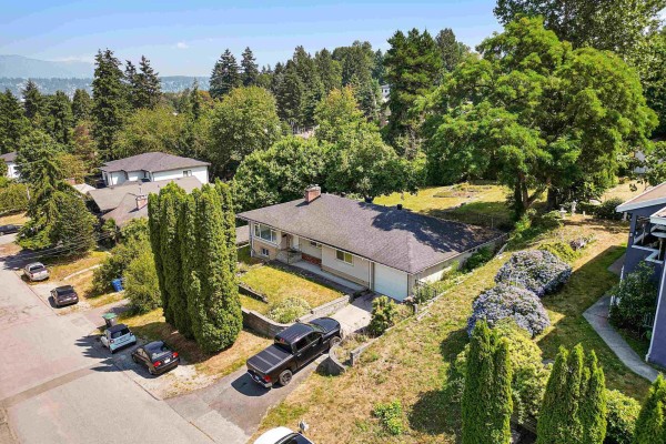 11028 129a Street, Surrey, BC V3T3L1 Photo 2