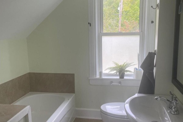 Bathroom with bathtub, sink, toilet, and a window with a plant and frosted glass. - 1103 Cronk Road, Frontenac