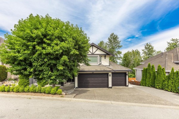11038 168 Street, Surrey, BC V4N5G5 Photo 3