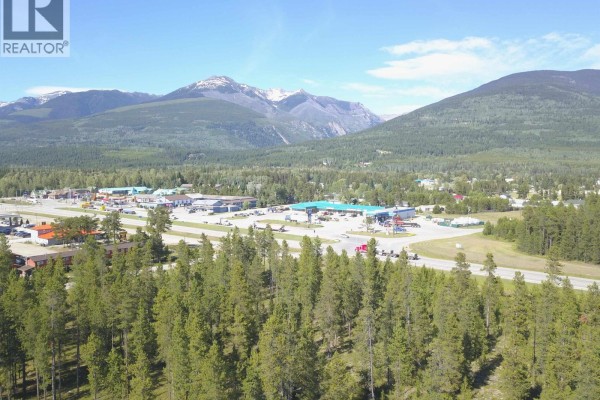 1105 S 5 Highway, Valemount, BC V0E2Z0 Photo 4