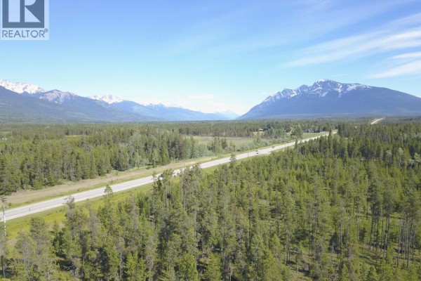 1105 S 5 Highway, Valemount, BC V0E2Z0 Photo 5