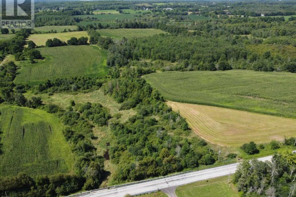 11080 First Line Nassagaweya, Milton, ON L0P1J0 Photo 3