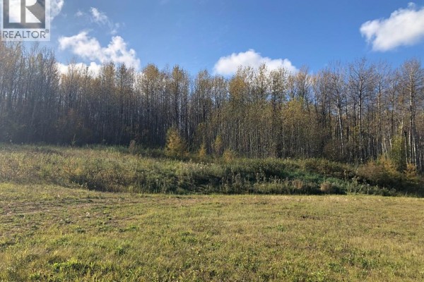 111, 16326 Twp Rd 675, Plamondon, AB T0A2T0 Photo 4