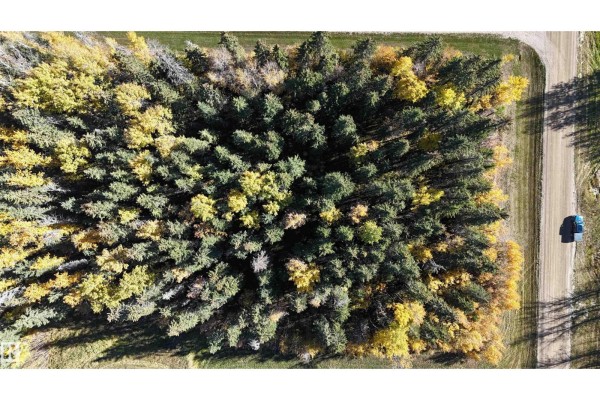 #111 49505 Rr 80, Rural Brazeau County, AB T7A1T1 Photo 3