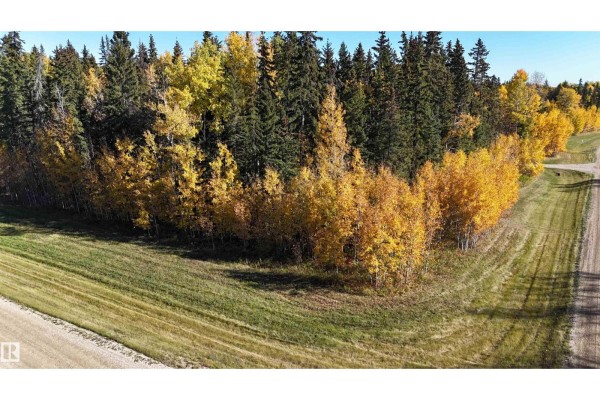 #111 49505 Rr 80, Rural Brazeau County, AB T7A1T1 Photo 4