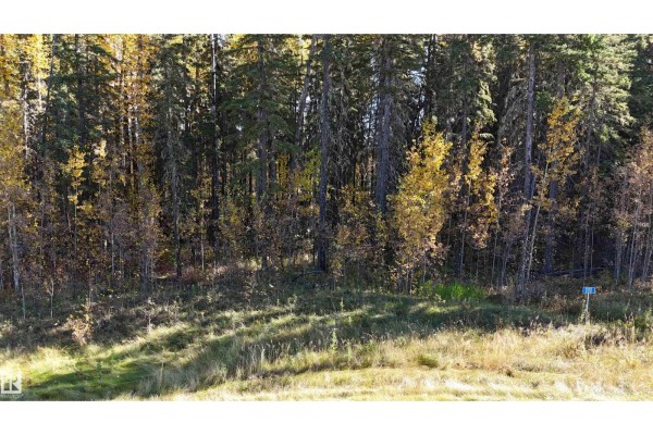 #111 49505 Rr 80, Rural Brazeau County, AB T7A1T1 Photo 5