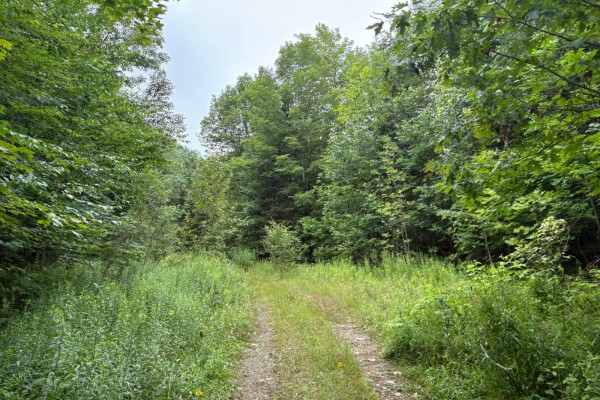 111 Ch. Des Trois-monts, La Peche, QC J0X3K0 Photo 5