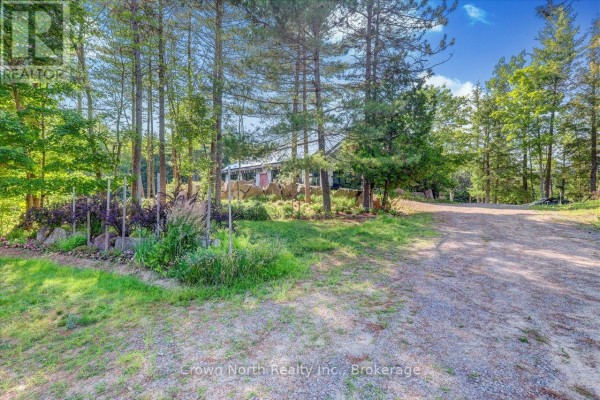 Primary Bedroom - 111 Gazelle Trail, North Kawartha, ON K0L1A0 Photo 4