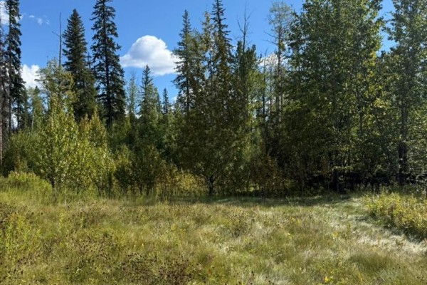 111 Kinuseo Avenue, Tumbler Ridge, BC V0C2W0 Photo 2