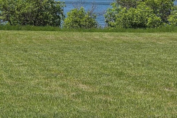 111 Lakeview Road, Last Mountain Lake, SK S0G0L0 Photo 4