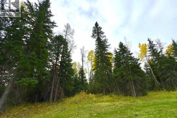 111 Meadow Ponds Drive, Rural Clearwater County, AB, photo 2