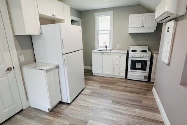111 Spring Street, Brantford, ON N3T4M6 Photo 5