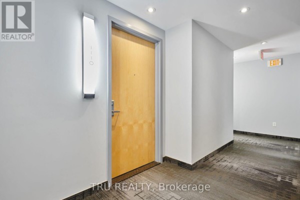 Apartment hallway with a light wood door, modern wall sconce, and patterned carpet. - 1110 - 179 Metcalfe Street, Ottawa