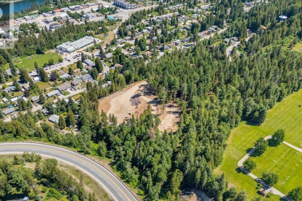 1110 23rd Street, Castlegar, BC V1N3A6 Photo 4