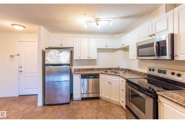 Laundry room - #1111 7339 South Terwillegar Dr Nw, Edmonton, AB T6R0L9 Photo 4