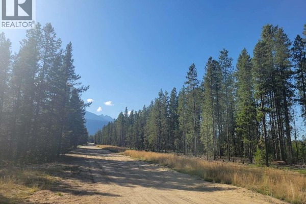 1112 14th Avenue, Valemount, BC V0E2Z0 Photo 4