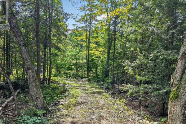 1112 Falkenburg Road, Bracebridge), ON P1L1X4 Photo 3