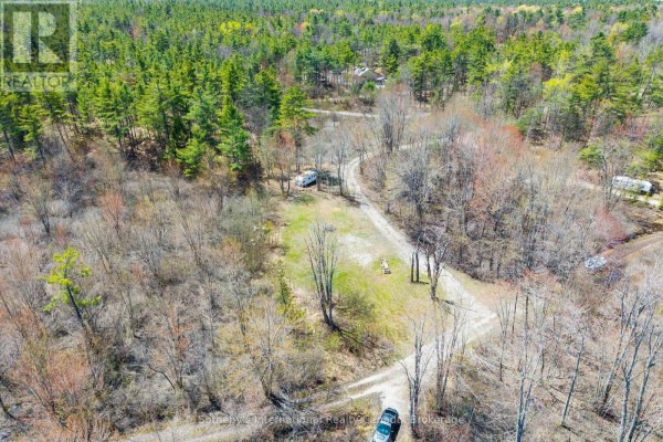1114 Tryon Road, Gravenhurst, ON P0E1G0 Photo 4