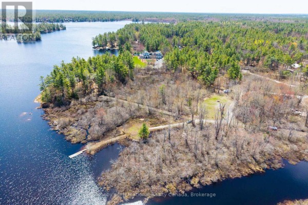 1114 Tryon Road, Gravenhurst, ON P0E1G0 Photo 5