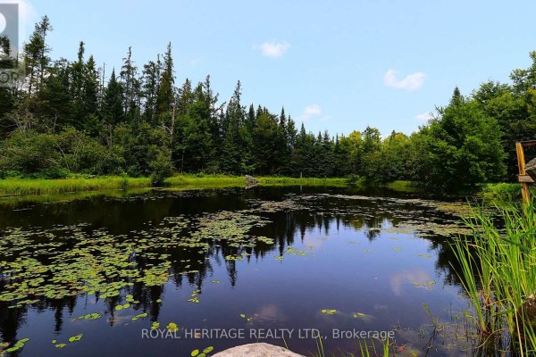 1118 Dutch Line Road E, Trent Lakes, ON K0M2A0 Photo 4