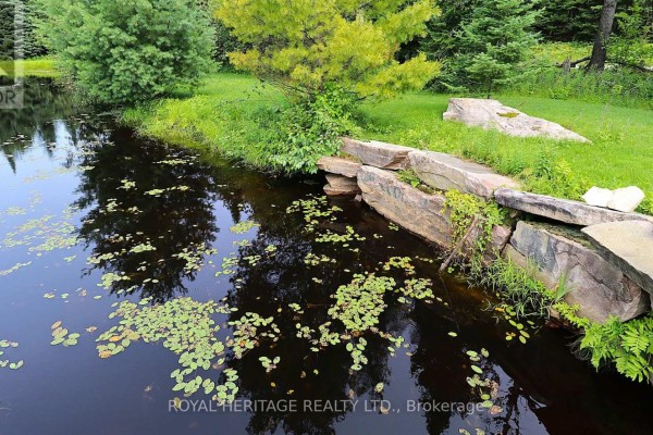1118 Dutch Line Road E, Trent Lakes, ON K0M2A0 Photo 5