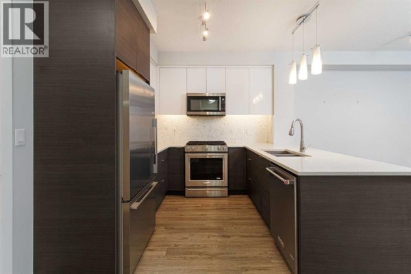 Laundry room - 1119, 95 Burma Star Road, Calgary, AB T3E8A9 Photo 4