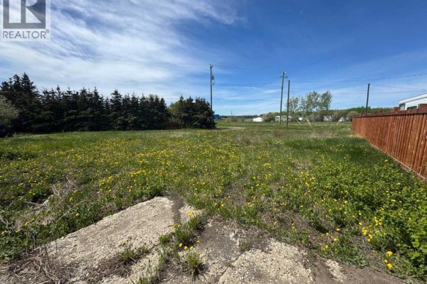 1119 7th Avenue, Beaverlodge, AB T0H0C0 Photo 2
