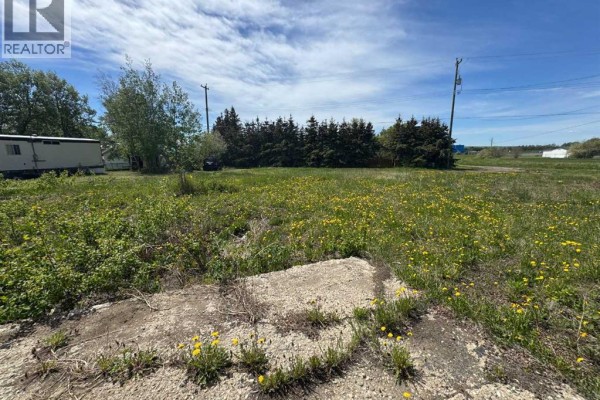 1119 7th Avenue, Beaverlodge, AB T0H0C0 Photo 3