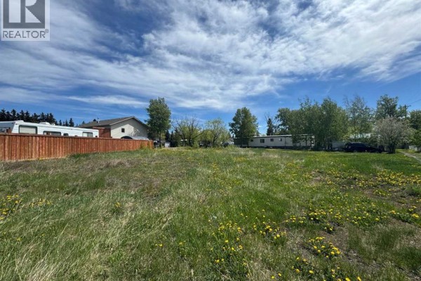 1119 7th Avenue, Beaverlodge, AB T0H0C0 Photo 4