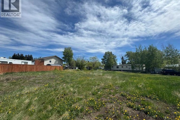 1119 7th Avenue, Beaverlodge, AB T0H0C0 Photo 5