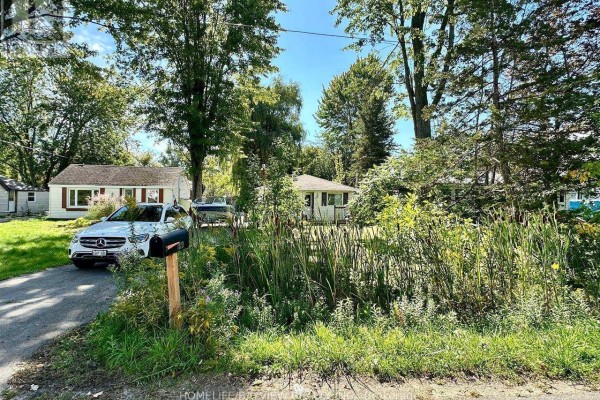 1119 Poplar Drive, Innisfil, ON L0L1R0 Photo 4